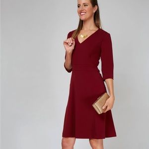 Banana Republic Cinched V Neck A Line Red Knee Dress